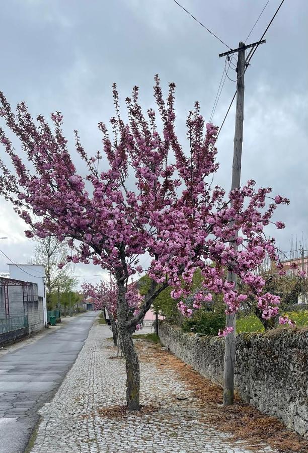 Casa Da Burra Villa Alijó Dış mekan fotoğraf